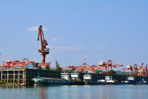 奮戰(zhàn)紅五月，瀘州水運(yùn)吹響發(fā)展進(jìn)軍號(hào) 碼頭建設(shè)與管理并舉，激活長(zhǎng)江上游黃金水道