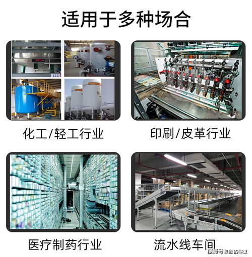 科技賦能，精準分揀 食品凈重全自動在線稱重分揀機的應用與推廣
